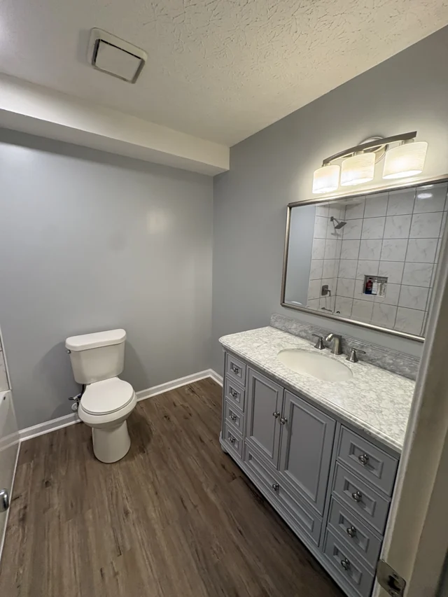 Bathroom with a gray vanity, faucet, framed mirror, light fixture and toilet